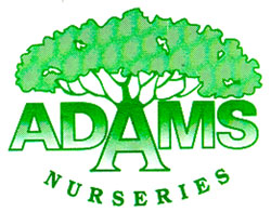 Adams Nursery