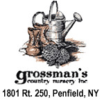 Grossmans Nursery