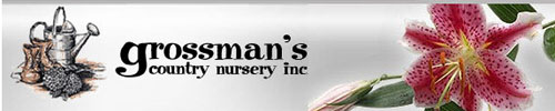 Grossmans Nursery