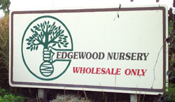 Edgewood Nursery